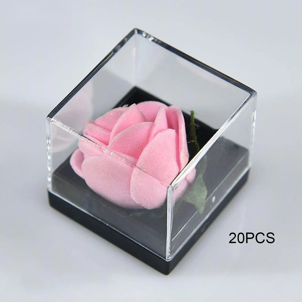 20-Pack Clear Mineral Display Boxes – Dustproof Cube Showcase