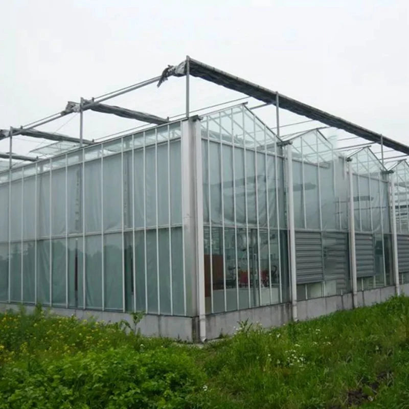 0.14mm Agricultural PE Greenhouse Film | 2m–12m Wide