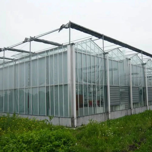 0.14mm Agricultural PE Greenhouse Film | 2m–12m Wide