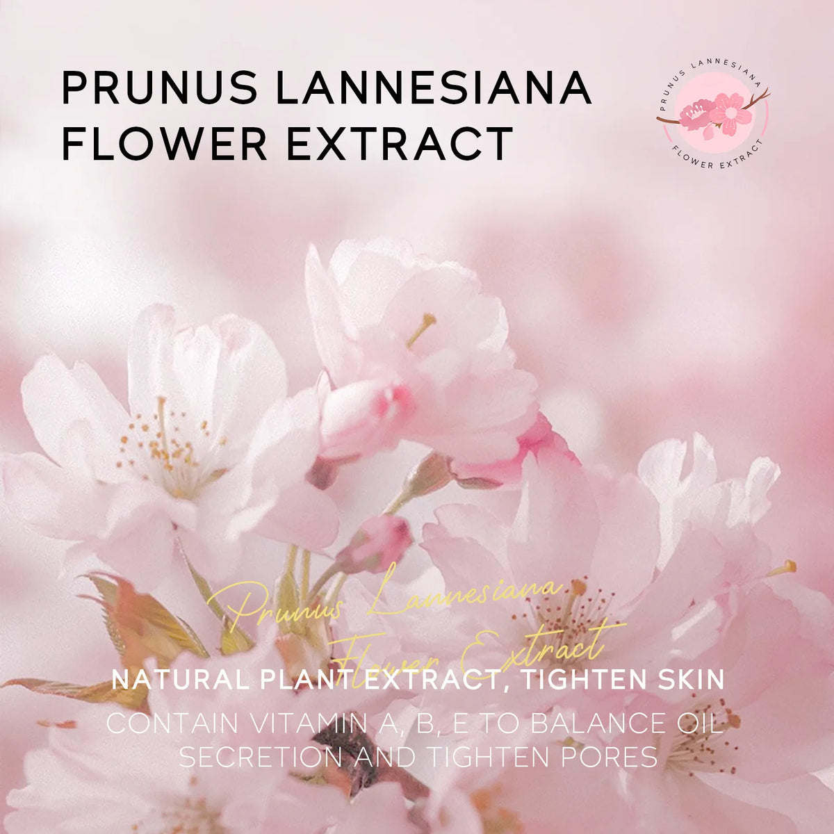 LAIKOU Sakura Peel-Off Nose Mask – Deep Cleanse & Pore Care