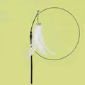 Suction Cup Cat Teaser Toy – Bell, Feather & Long Rod Wand