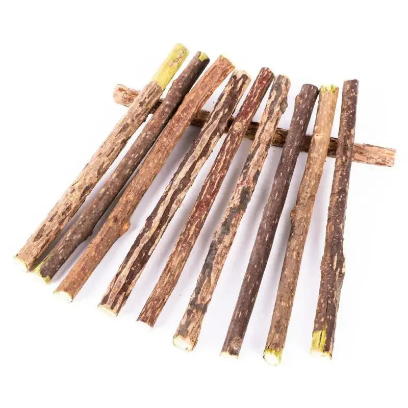 20-Pc Natural Polygonum Cat Chew Sticks – Dental Molar Toy