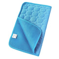Ice Silk Pet Cooling Mat for Dogs & Cats – 6 Sizes & Colors