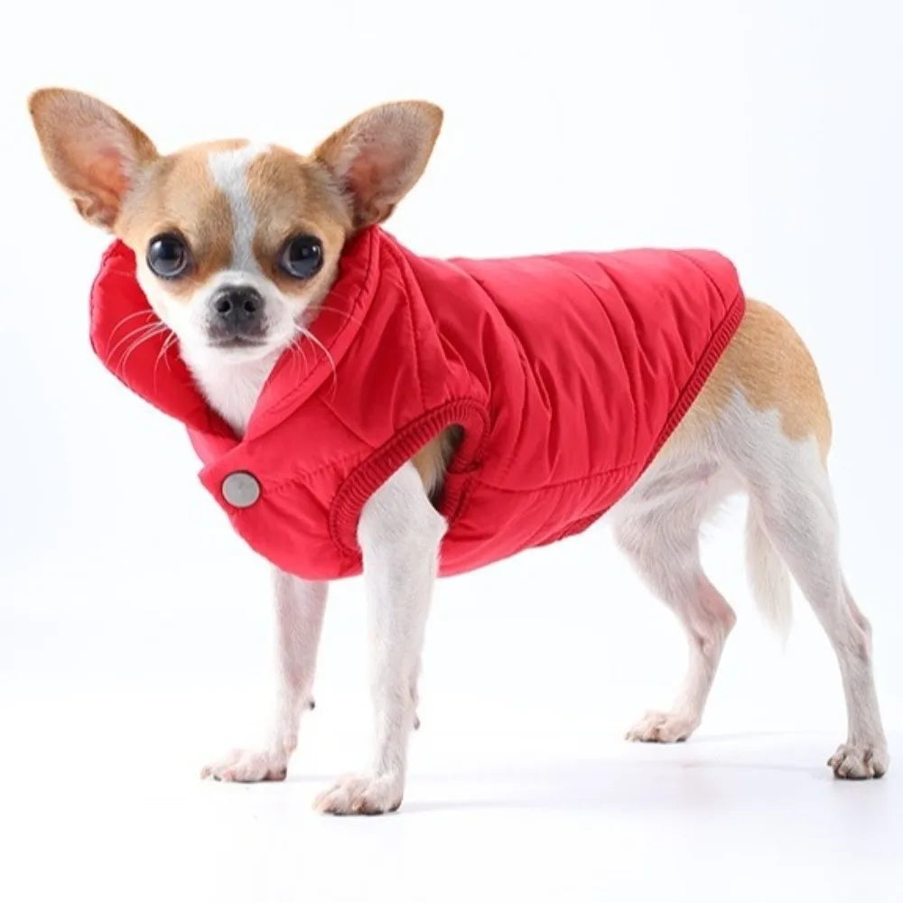 Windproof Fleece Dog Jacket with D-Ring | Small & Medium Dogs