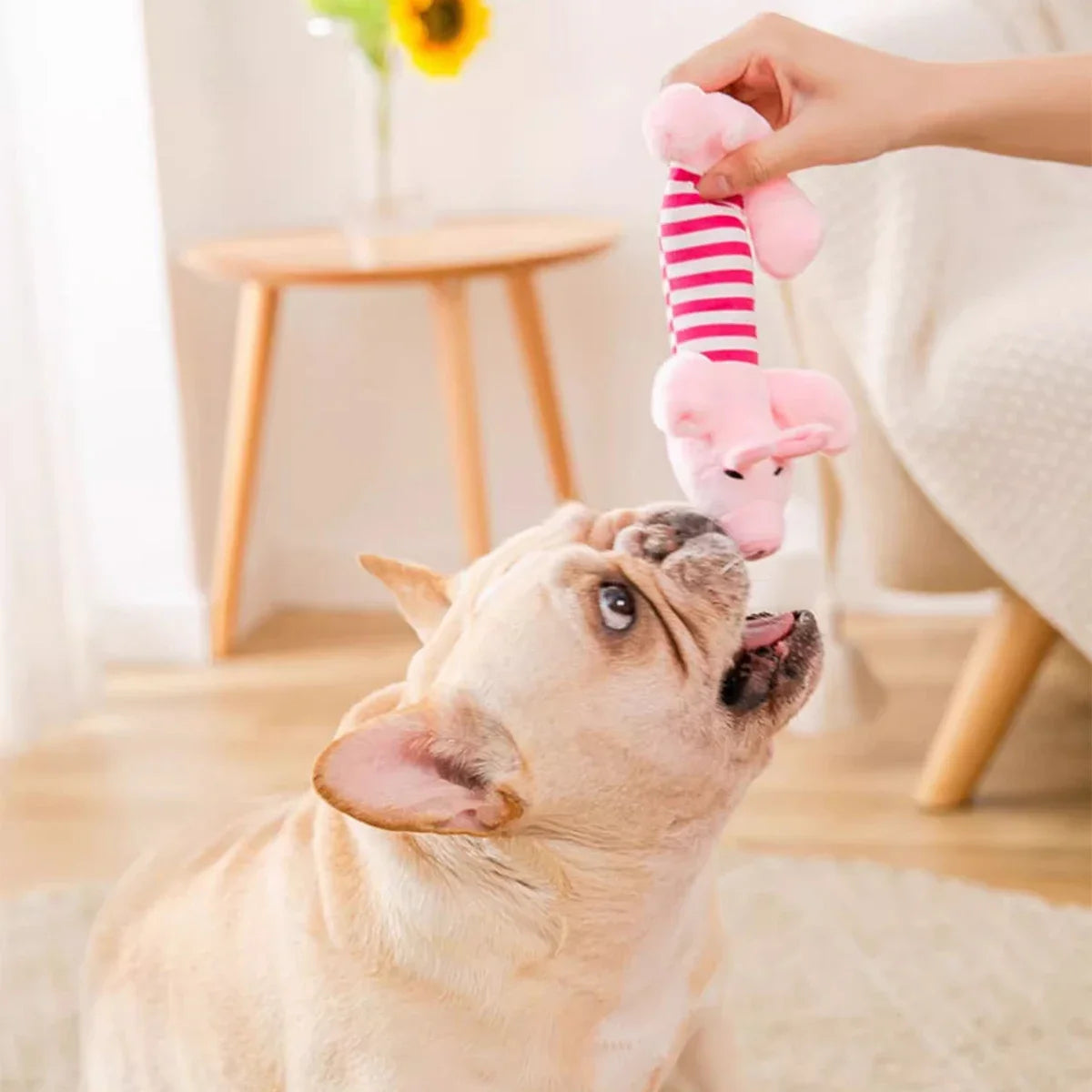 Squeaky Plush Dog Toy – Elephant Duck Pig Chew Toys