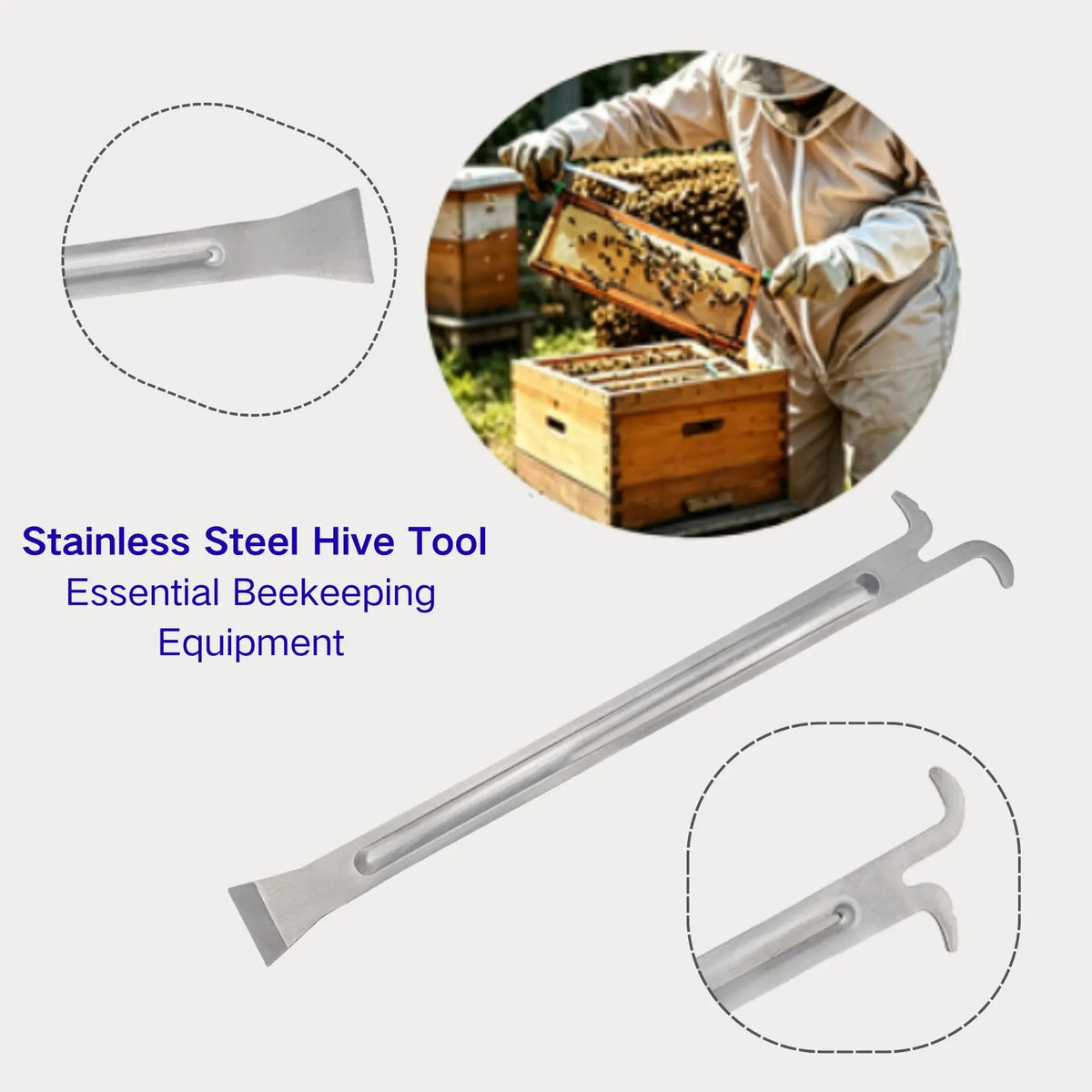 Stainless Steel Beehive Tool – Frame Lifter & Scraper