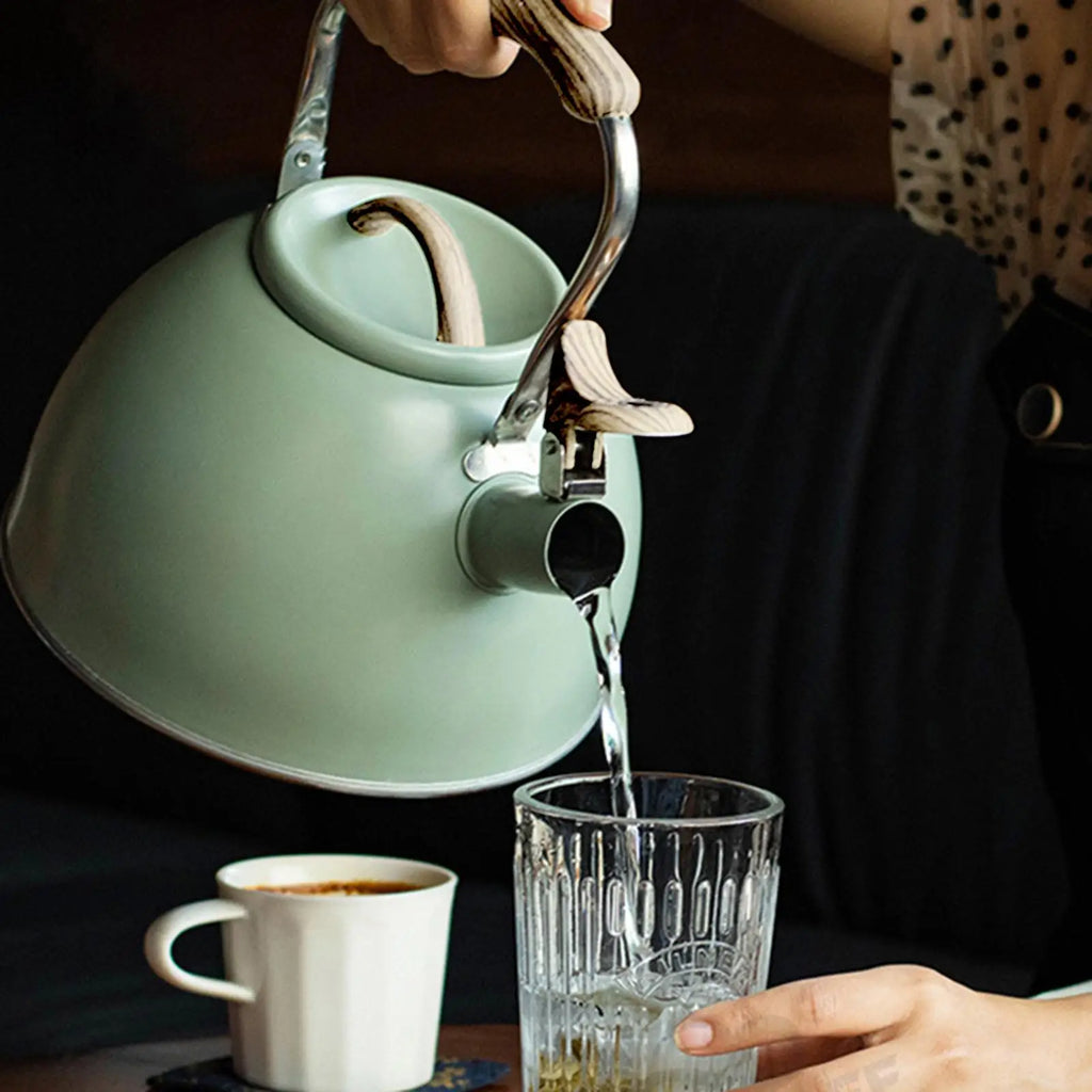 3L Stainless Steel Whistling Stovetop Kettle – Camping & Home