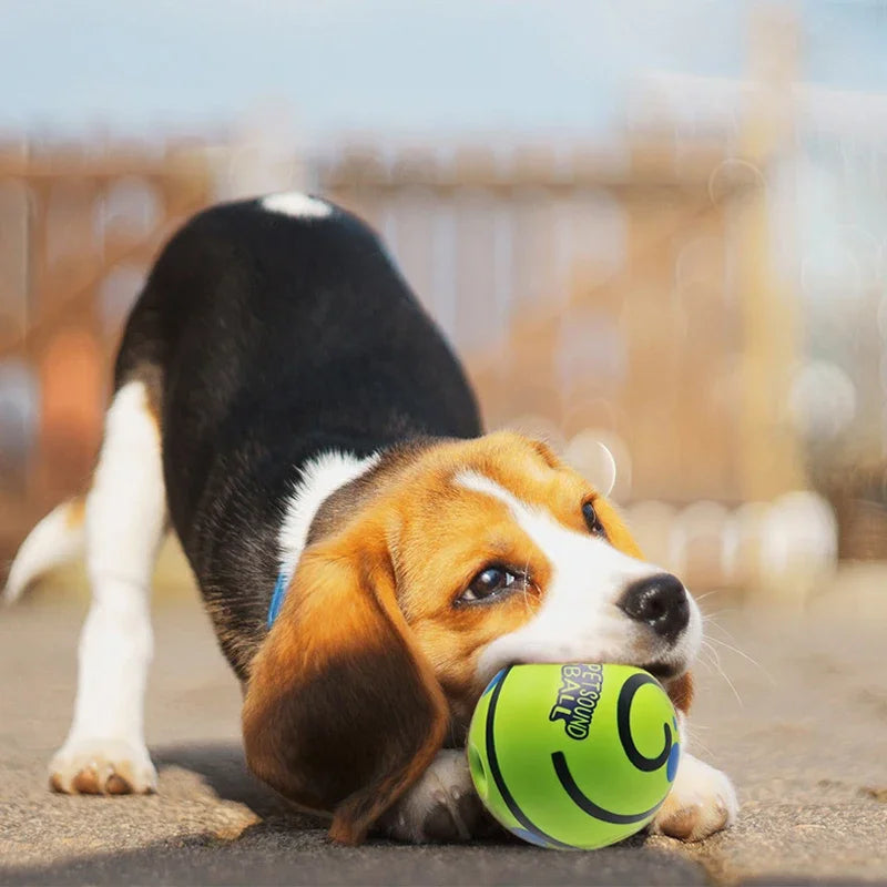 Squeaky Wobble Dog Ball – Interactive Puzzle Toy