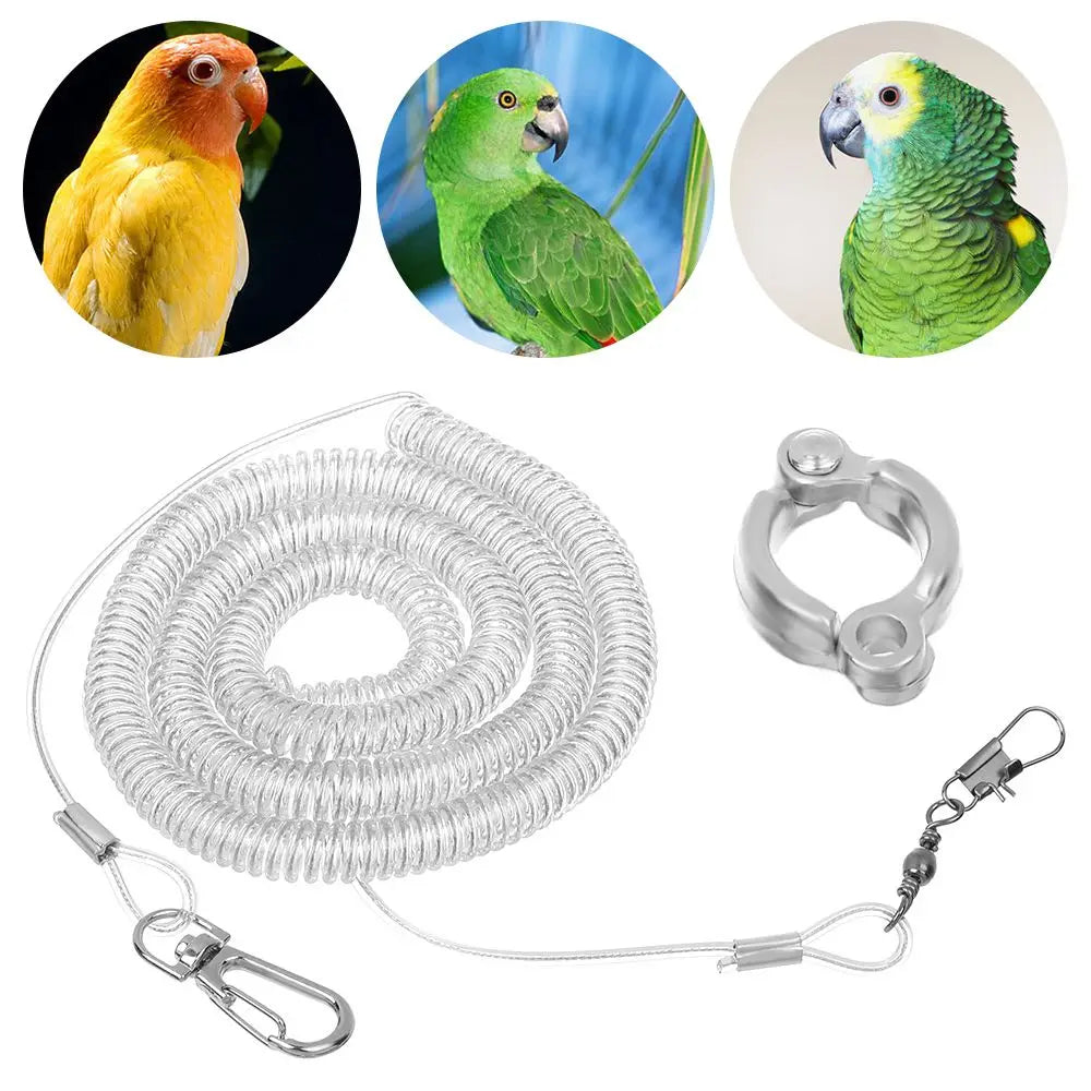 Parrot Bird Training Leash & Anti-Bite Leg Ring Harness