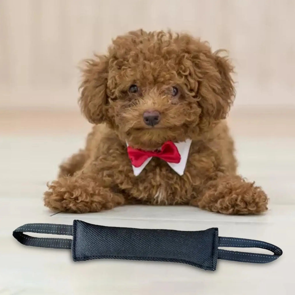 Dog Tug Toy Double Handles – Durable Linen Bite Pillow