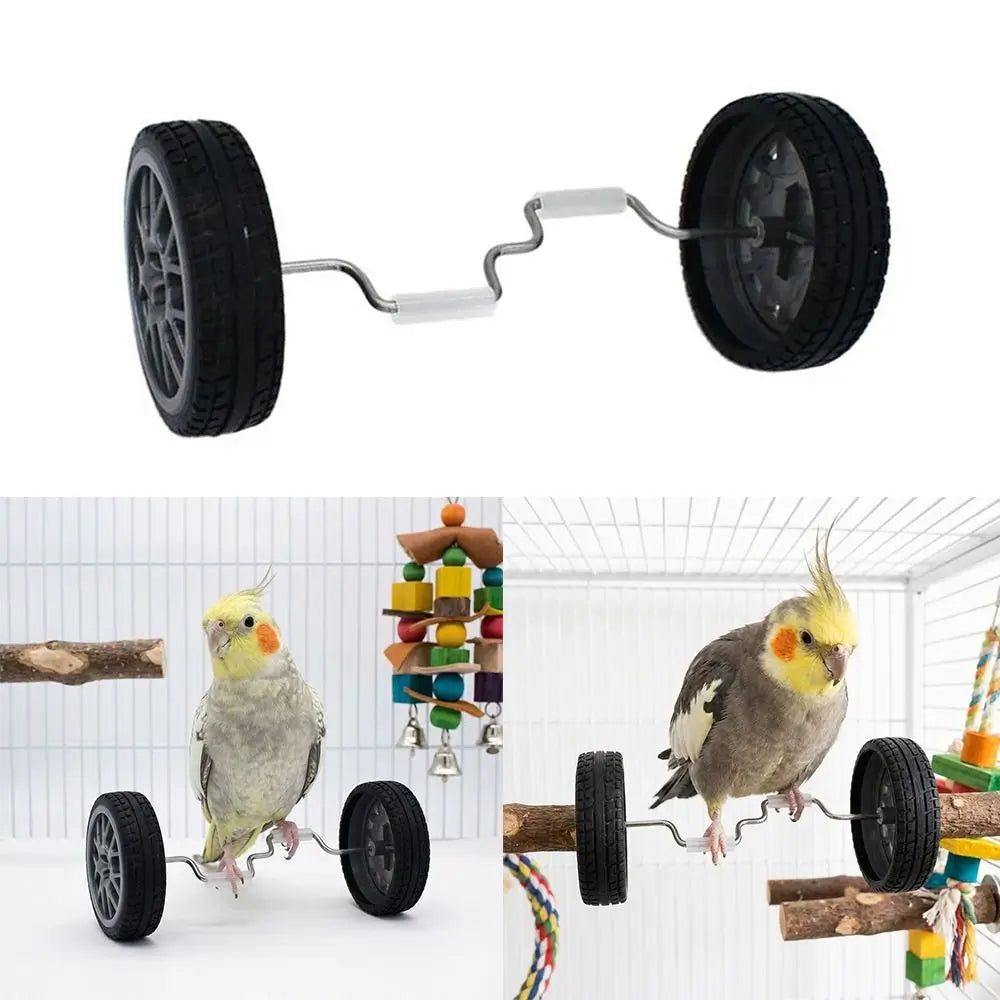 Parrot Balance Bike Toy for Budgie Cockatiel Lovebird Training