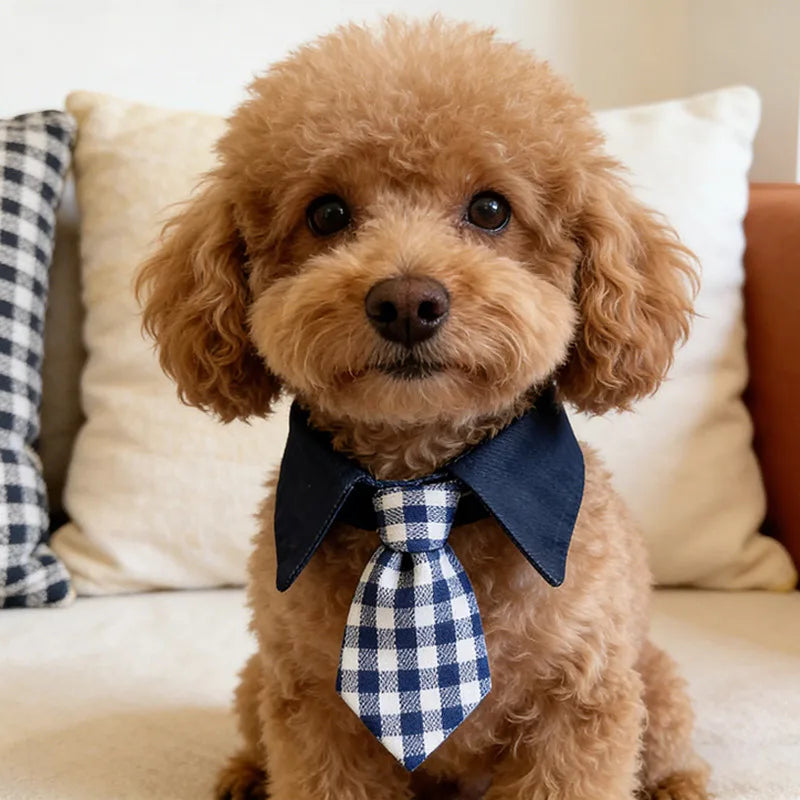Plaid Pet Tie – Adjustable Cat & Dog Gentleman Collar