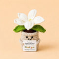 Crochet Lily Flower Pot Doll with Thank You Card | Desk Decor Gift