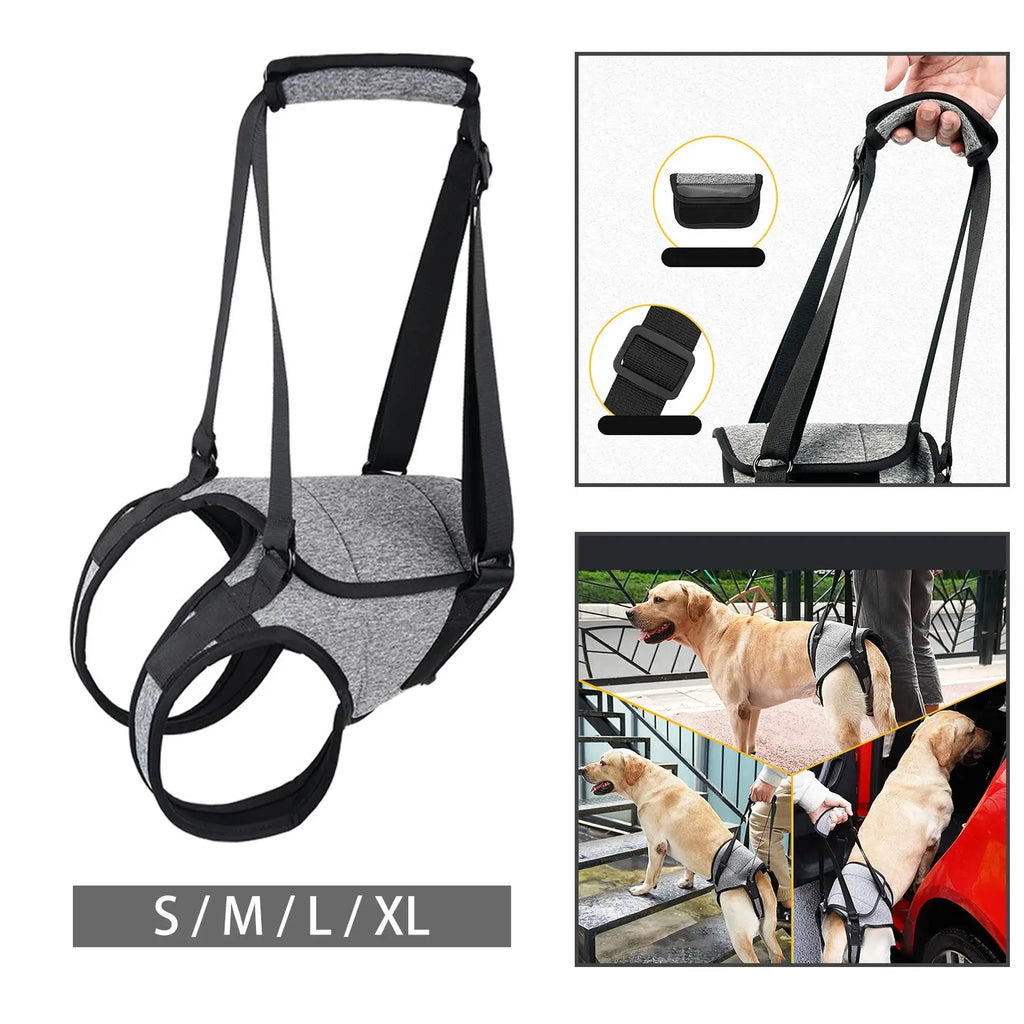 Dog Lift Support Harness Sling for Hind Legs | Adjustable