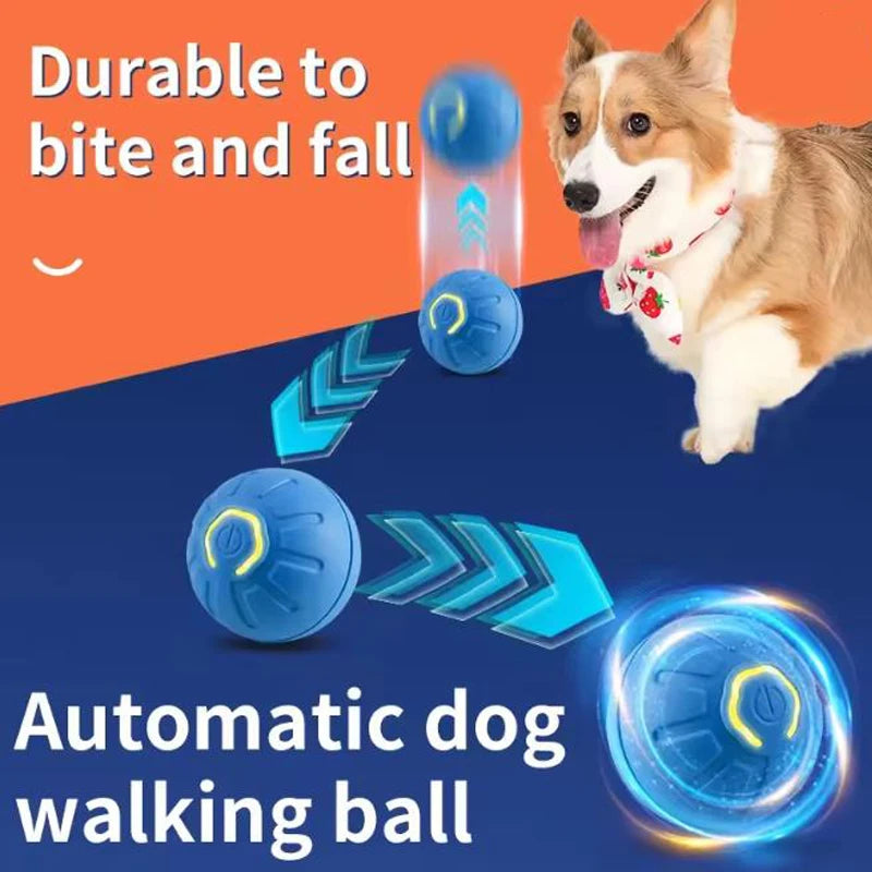 Interactive Electronic Moving Ball Toy for Cats & Dogs | USB