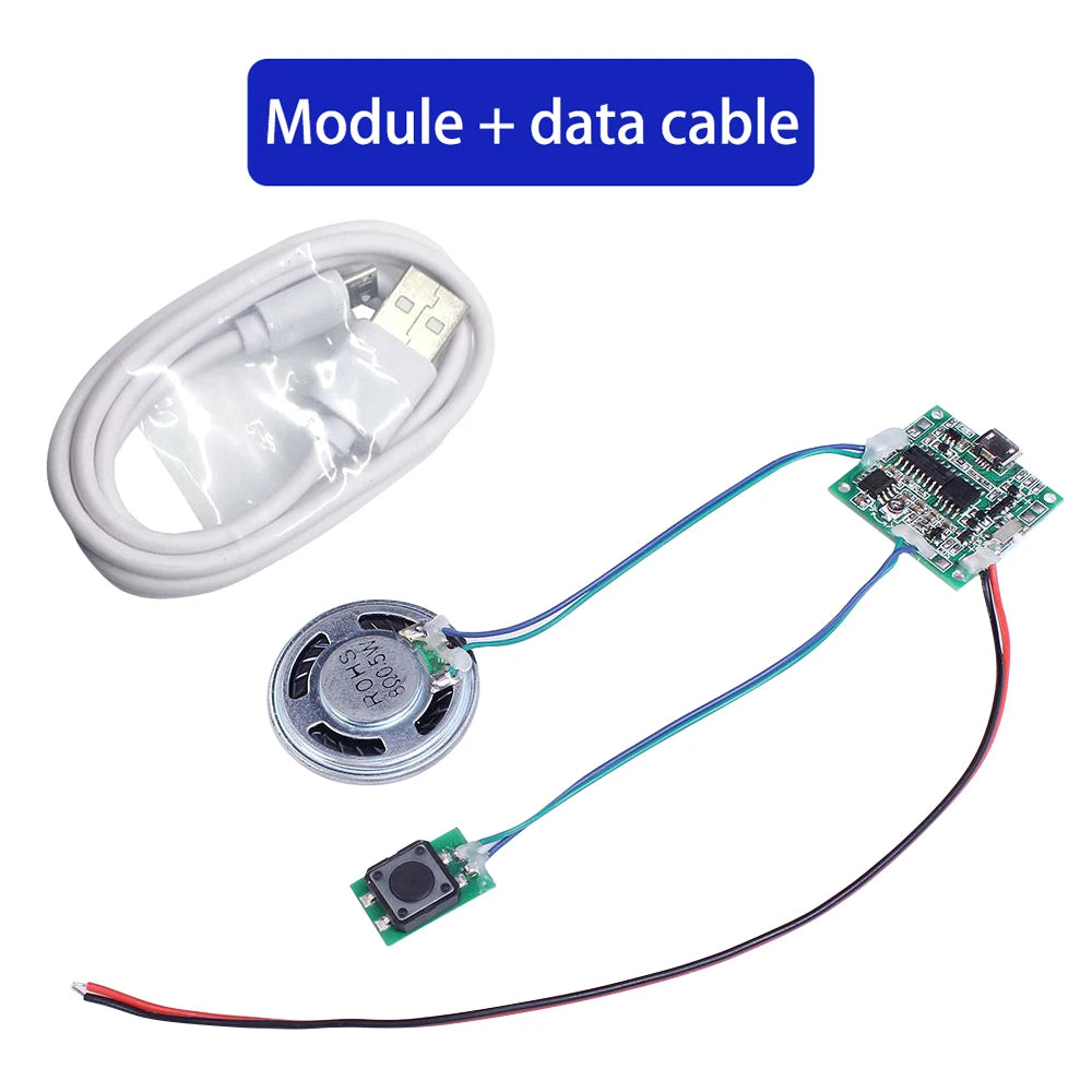 8MB Voice Playback Module – DIY Sound Module | Micro USB