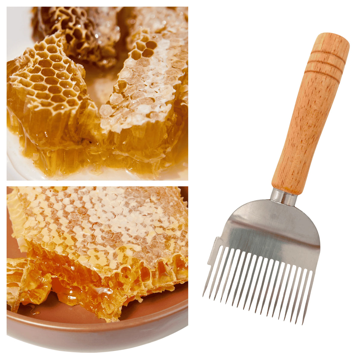 17-Root Stainless Steel Uncapping Fork | Beekeeping Honey Tool