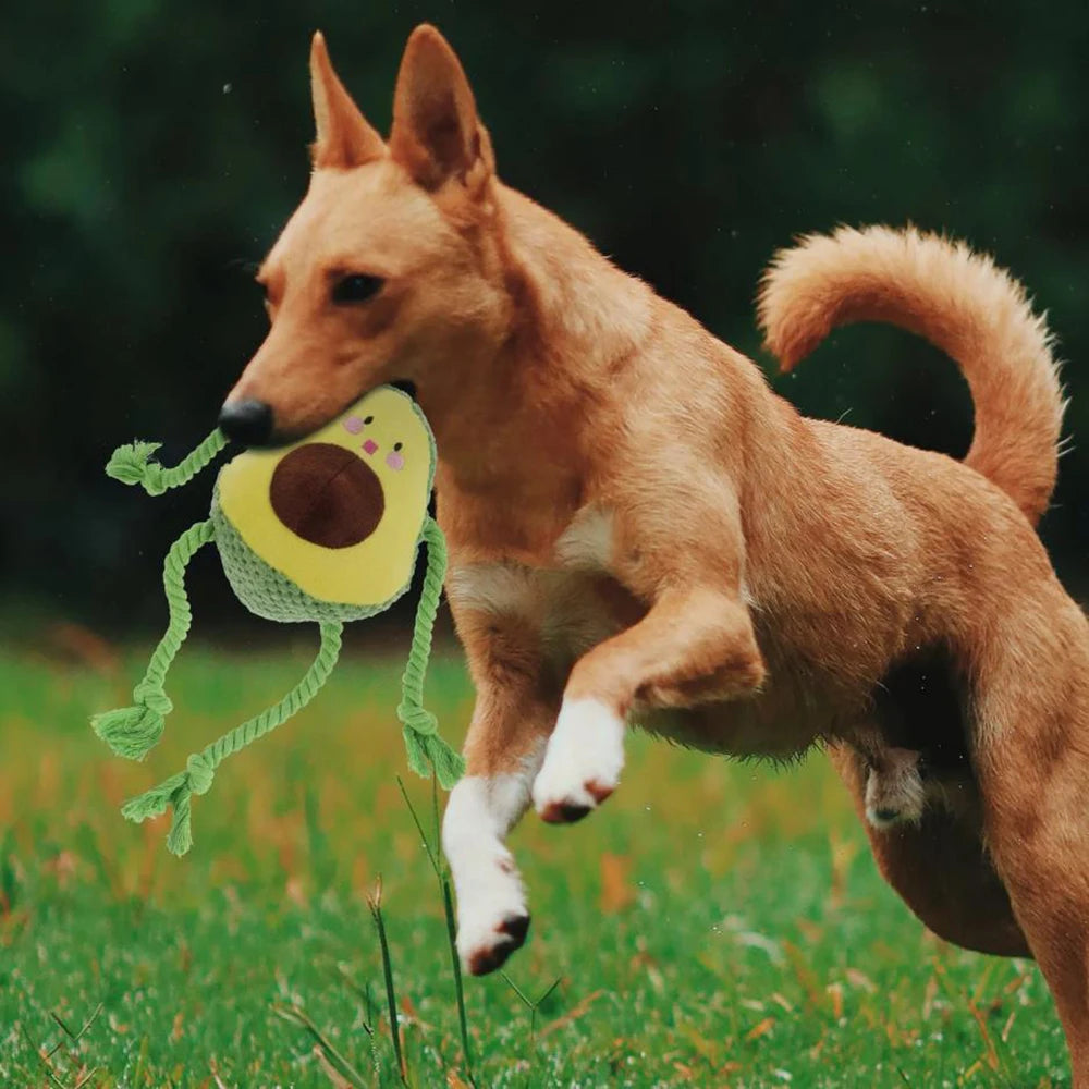 Chew-Resistant Squeaky Pet Toy – Avocado & Octopus Knot Doll
