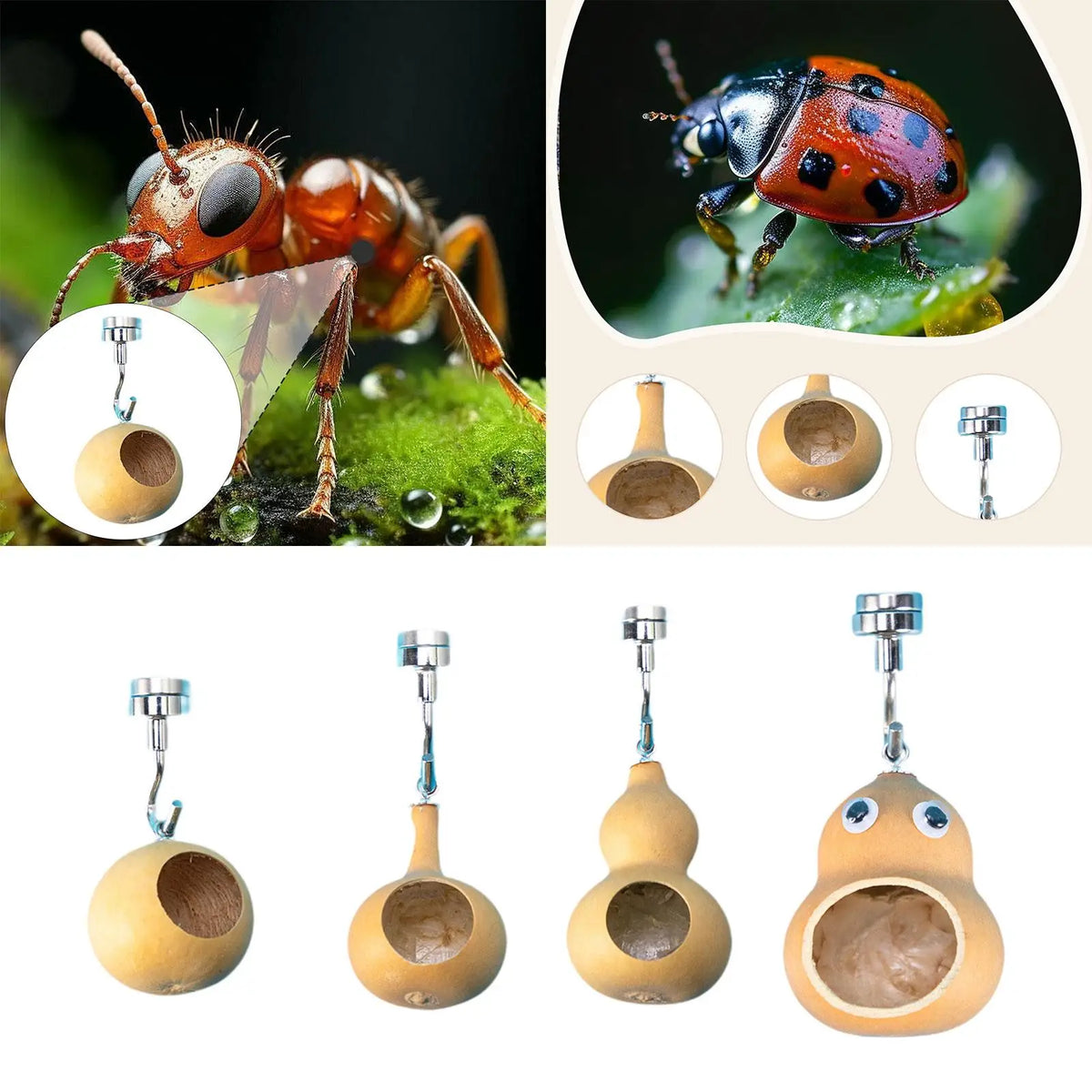 Jumping Spider Hideout – Wood & Steel Reptile Enclosure Habitat