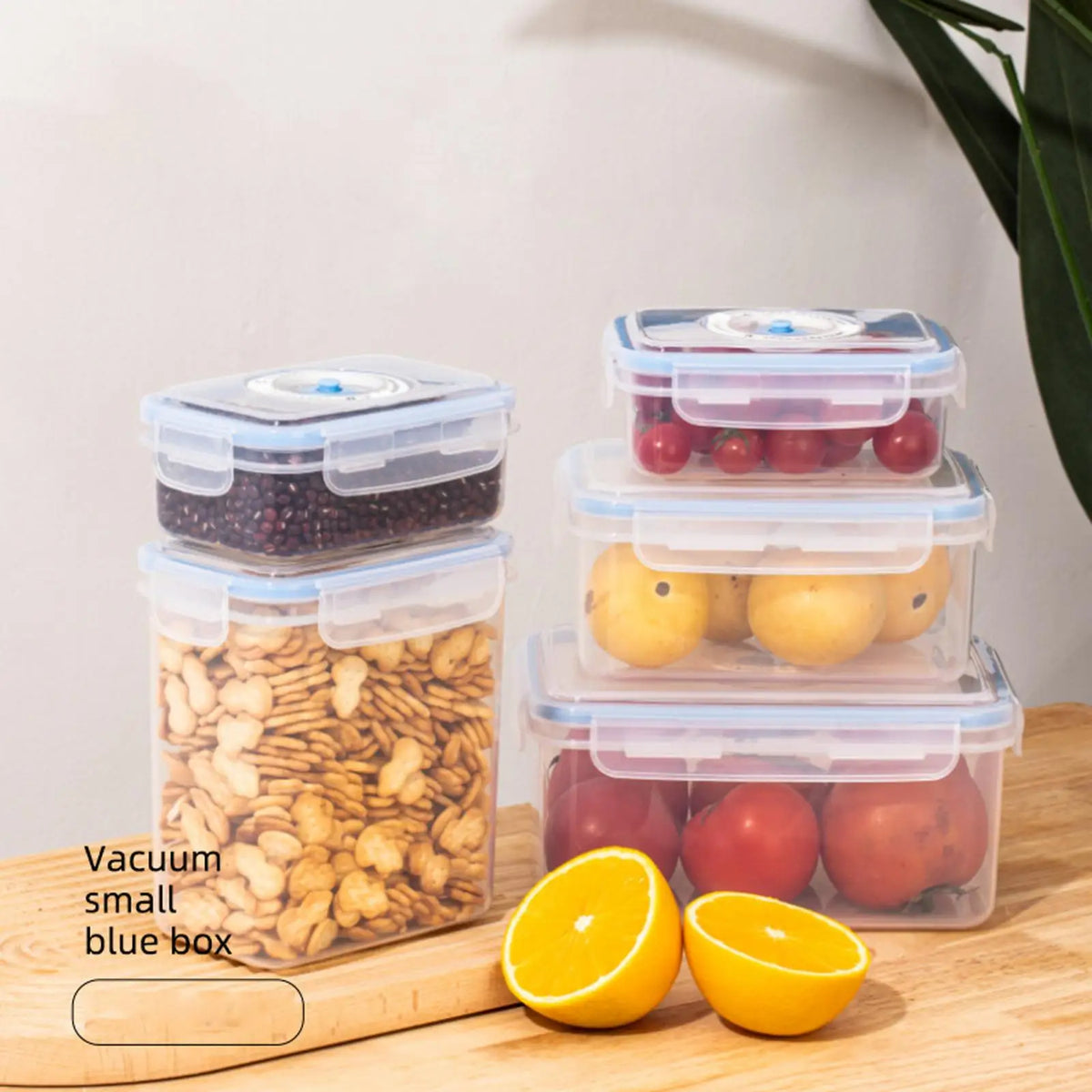 Vacuum Sealed Food Storage Container with Air Pump – 4 Sizes