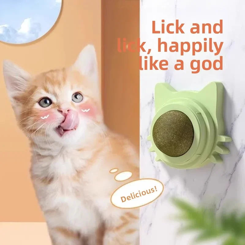Catnip Ball Toy – Bite-Resistant Kitten Teeth Grinder & Play