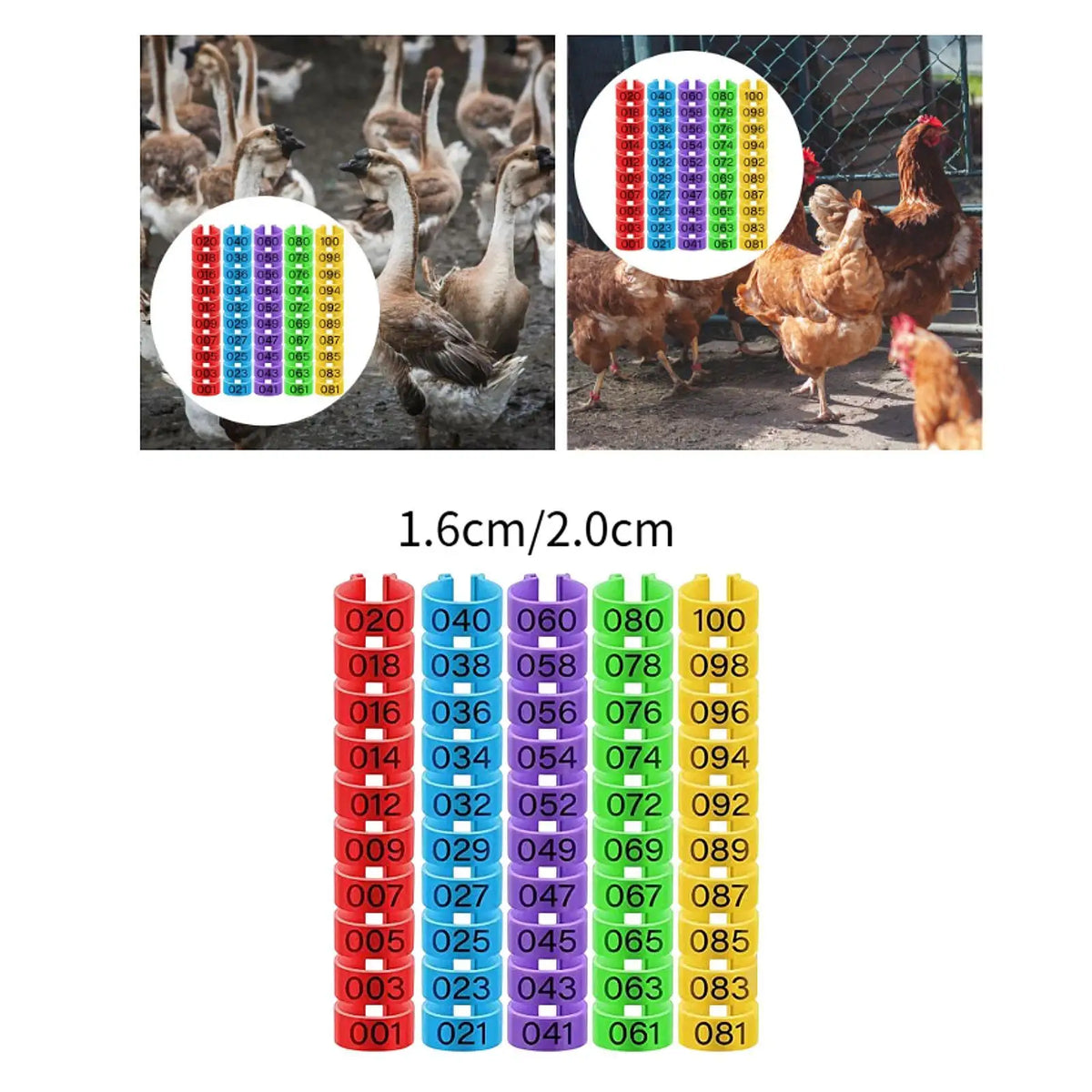 100-Pack Numbered Poultry Leg Bands – Clip-On Foot Rings