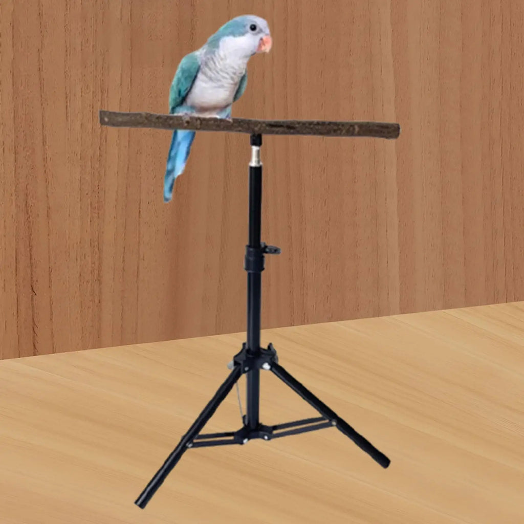 Wood Parrot Perch Stand | Height-Adjustable Tripod Bird Perch
