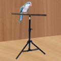 Wood Parrot Perch Stand | Height-Adjustable Tripod Bird Perch