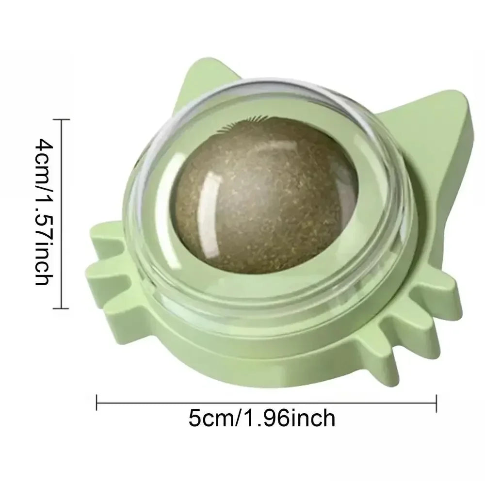 Catnip Ball Toy – Bite-Resistant Kitten Teeth Grinder & Play