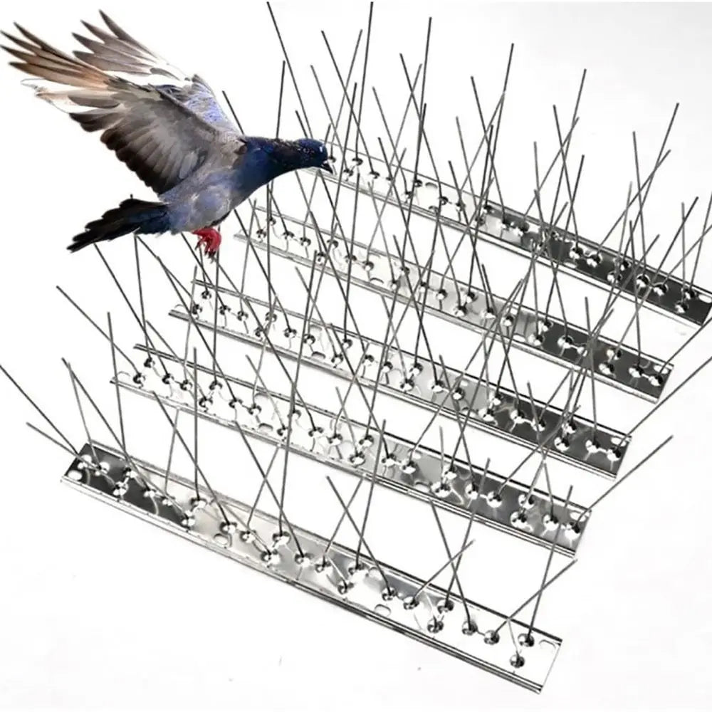 Stainless Steel Bird Spike Strips 25/33/50cm – Anti-Bird