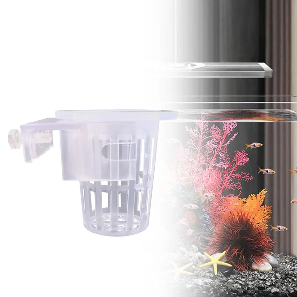 2-Pack Clear Hanging Aquarium Plant Holder | Aquascaping Pot