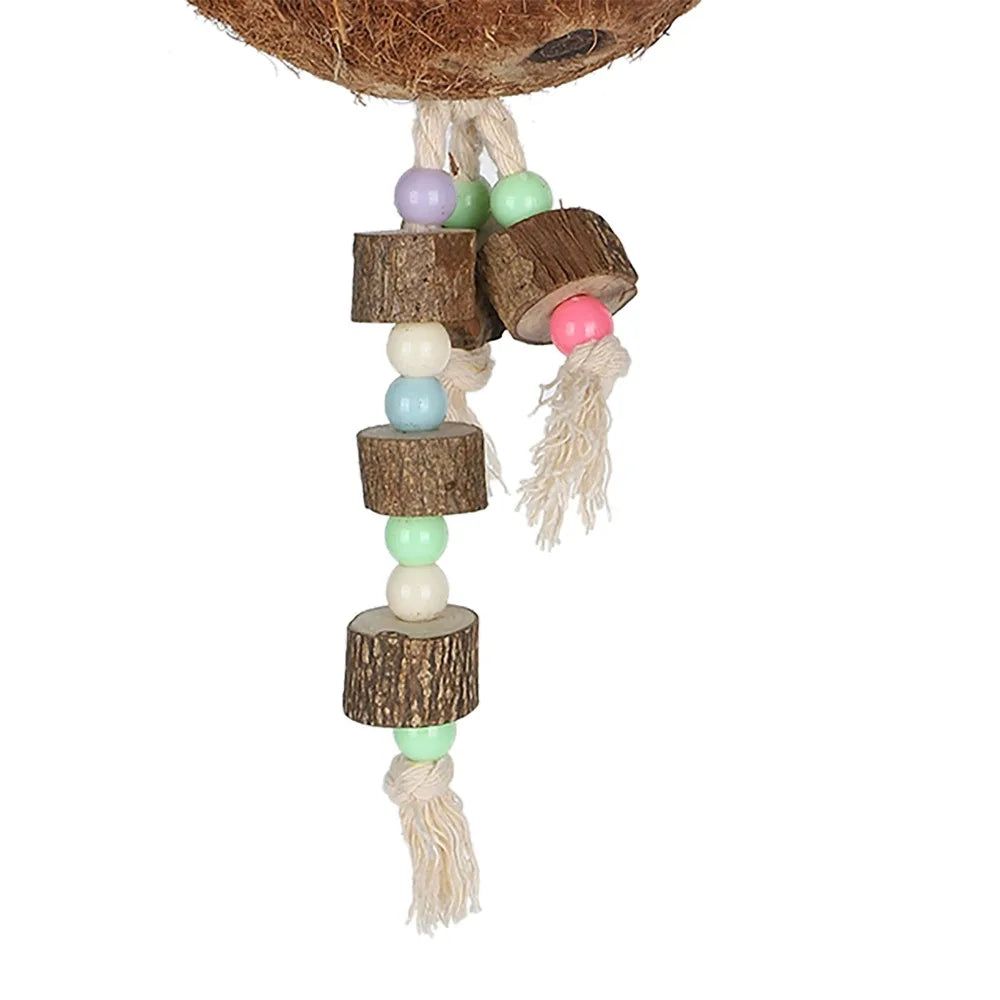 Coconut Shell Parrot Swing Nest – Hanging Rope & Metal Buckle