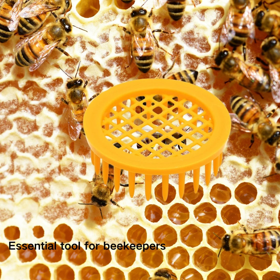 5-Pack Plastic Queen Bee Cage & Catcher – Beekeeping Tool