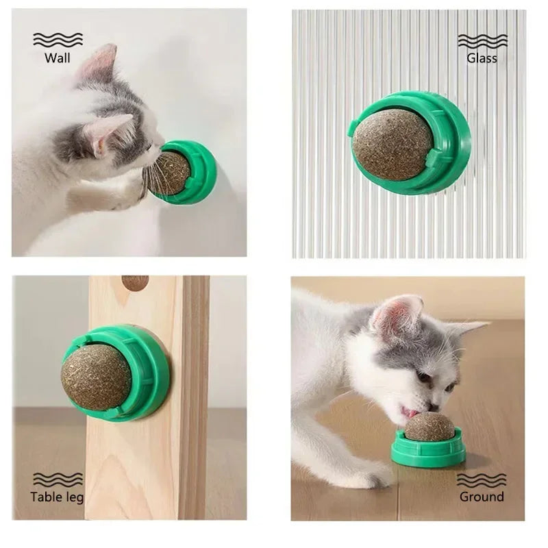 Catnip Wall Sticky Ball Toy – Natural Cat Grass Grooming Snack