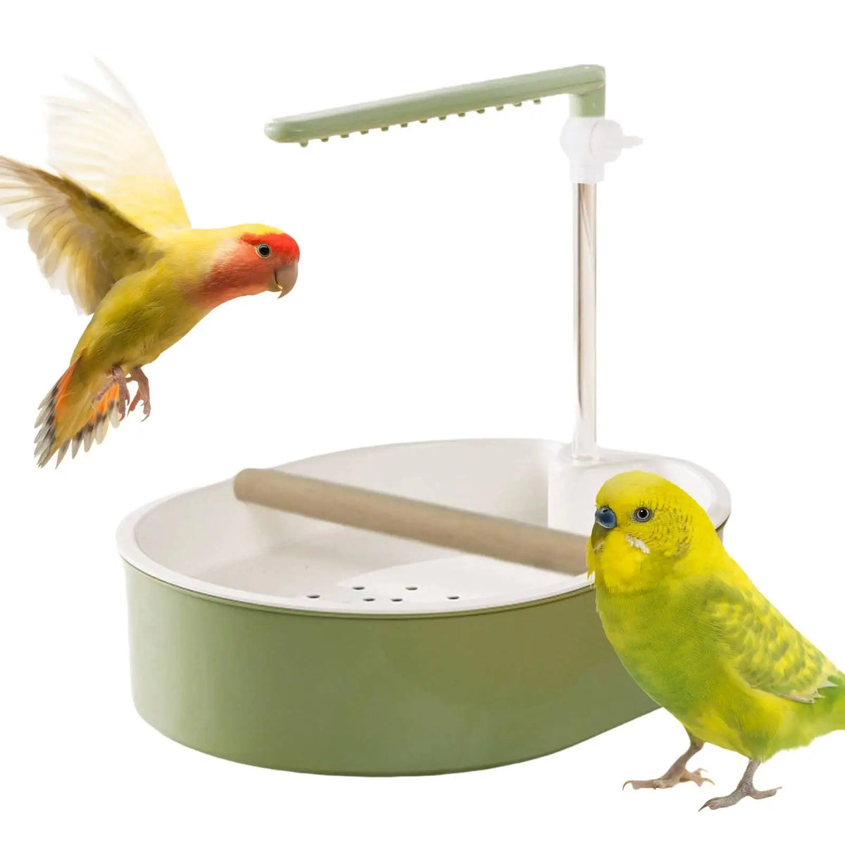 Automatic Bird Bath Shower for Parakeet Cockatiel Lovebird
