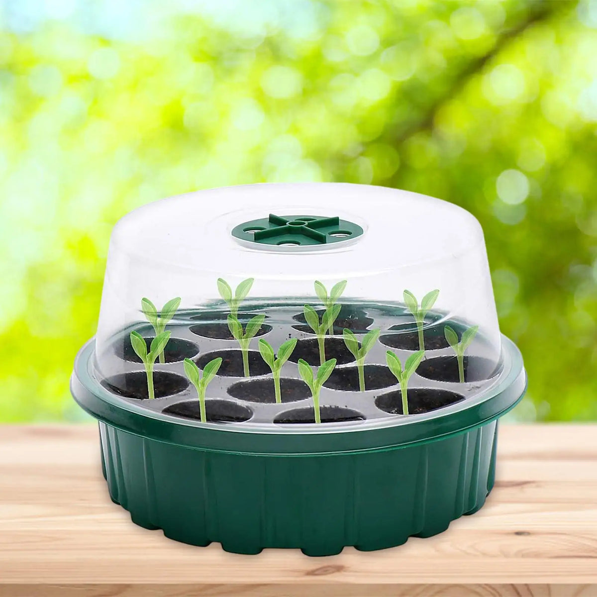 13-Cell Seed Starter Tray Kit with Humidity Dome – 2-Pack
