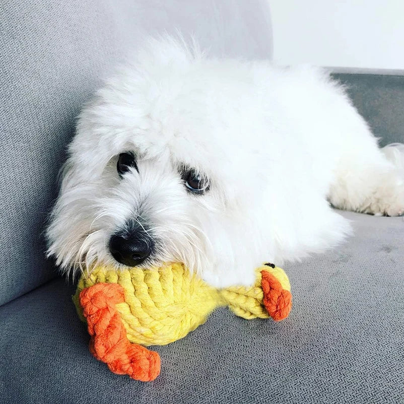 Braided Yellow Duck Squeaky Plush Dog Toy – Bite Resistant