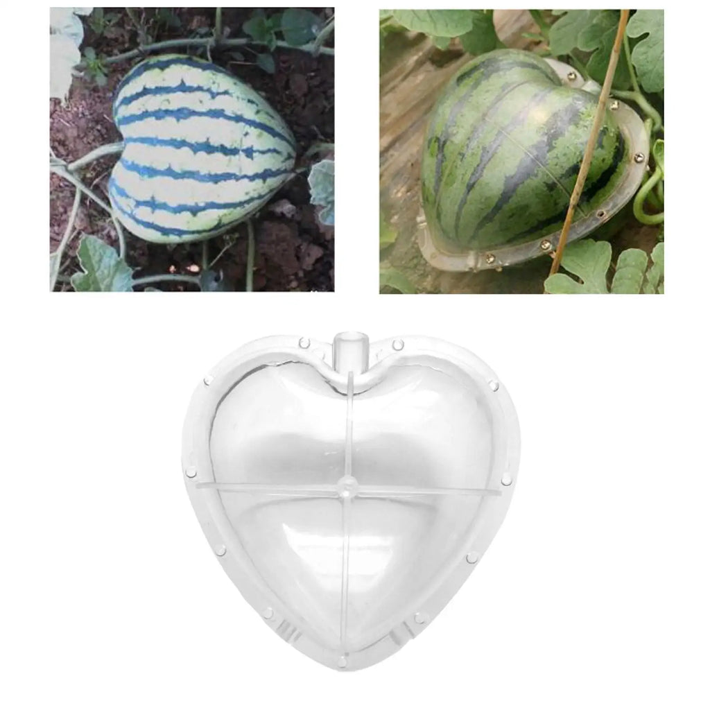 Heart Shape Watermelon Mold – Reusable Fruit Forming Tool
