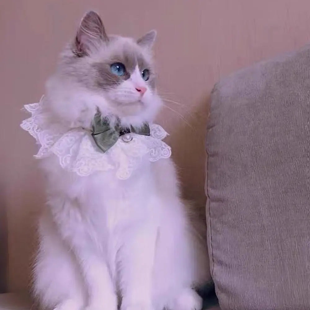 Pet Lace Bowknot Scarf – Cat & Dog Neckerchief Collar Bib