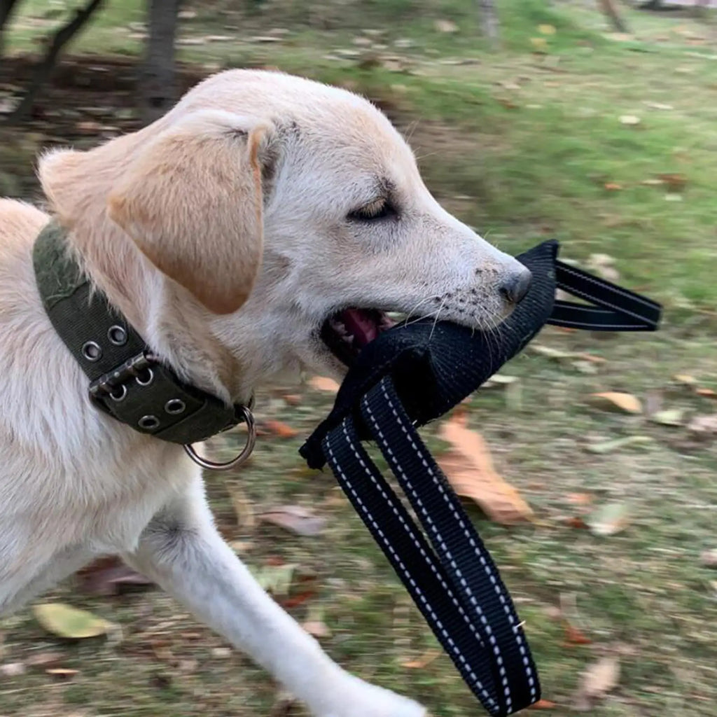 Dog Tug Toy Double Handles – Durable Linen Bite Pillow
