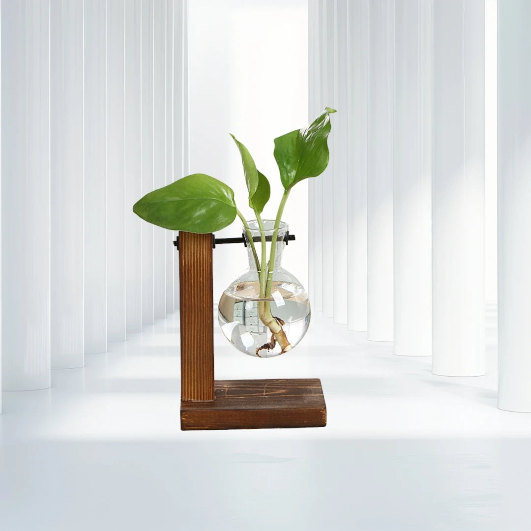 Wooden Frame Hydroponic Glass Vase | Desktop Flower Planter