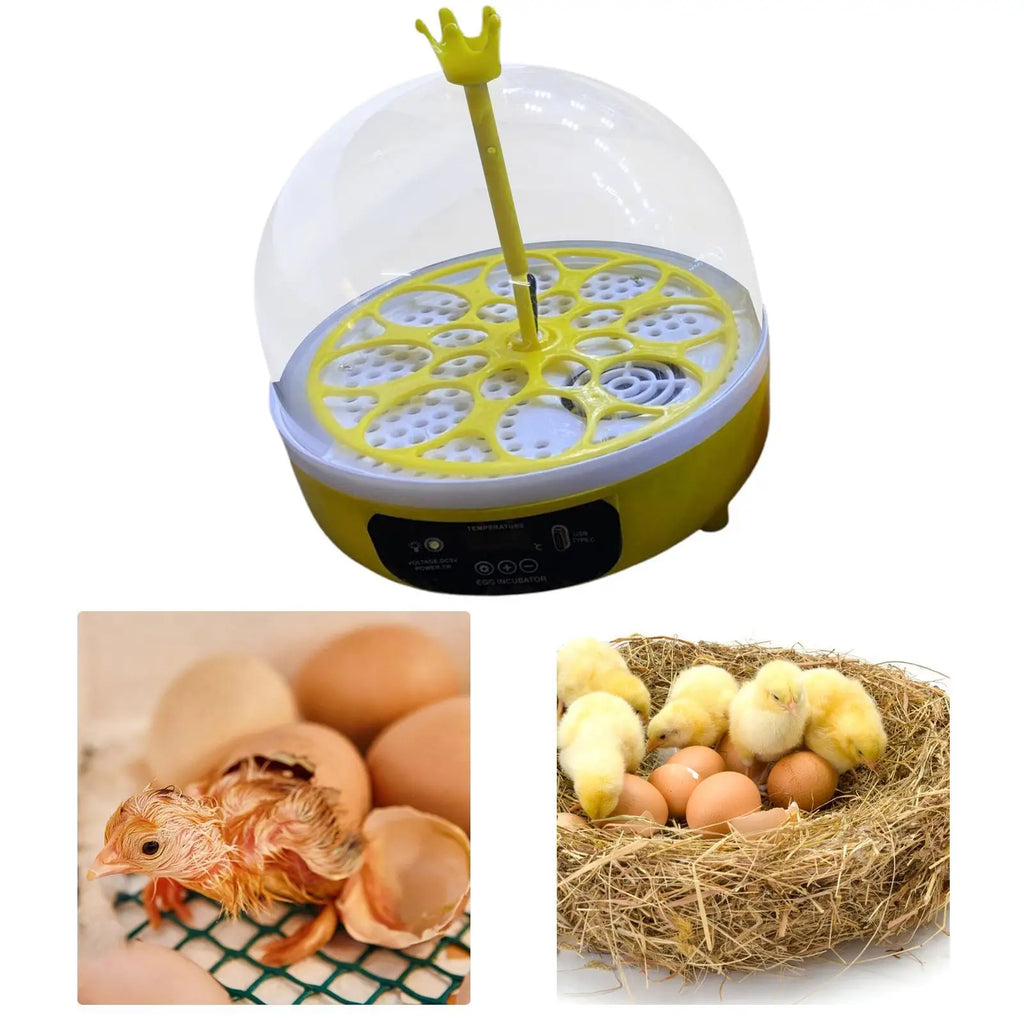 8-Egg Automatic Incubator – Chicken, Quail & Duck Hatcher