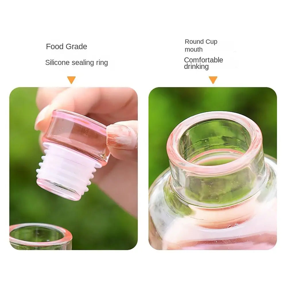 Leakproof Transparent Water Bottle 500ml/750ml | Timescale